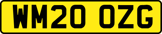 WM20OZG