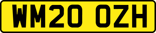 WM20OZH