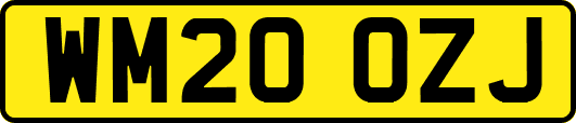 WM20OZJ