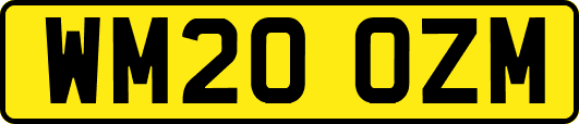 WM20OZM