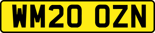 WM20OZN