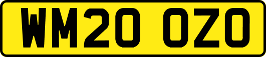 WM20OZO