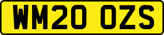 WM20OZS