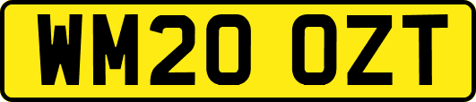 WM20OZT