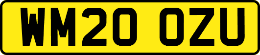 WM20OZU