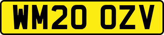 WM20OZV