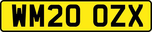 WM20OZX