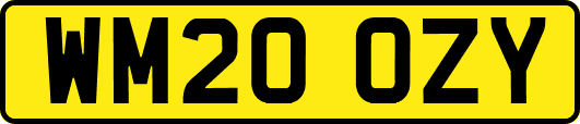 WM20OZY