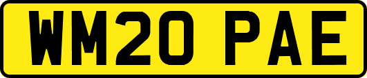 WM20PAE