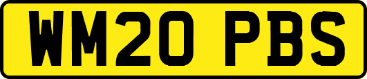 WM20PBS