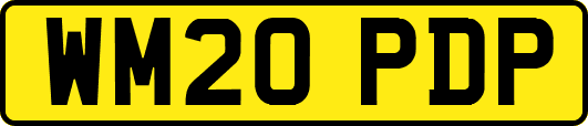 WM20PDP