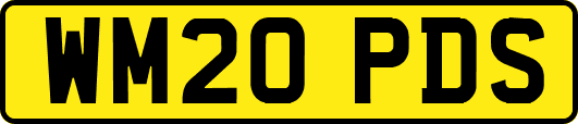 WM20PDS