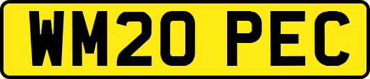 WM20PEC
