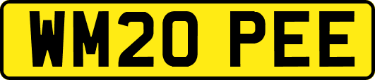 WM20PEE