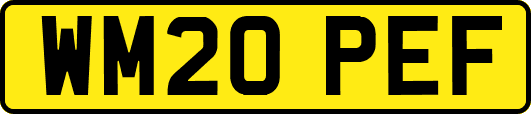 WM20PEF
