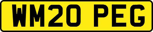 WM20PEG