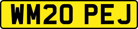WM20PEJ