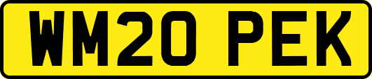 WM20PEK