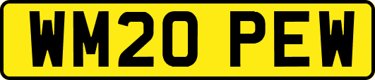 WM20PEW