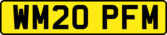 WM20PFM