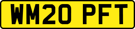 WM20PFT