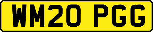 WM20PGG