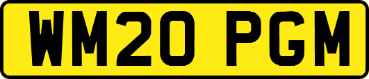 WM20PGM