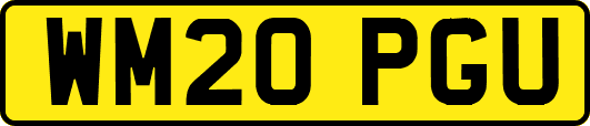 WM20PGU