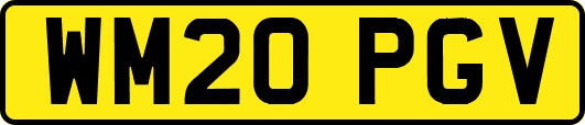 WM20PGV