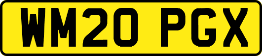 WM20PGX