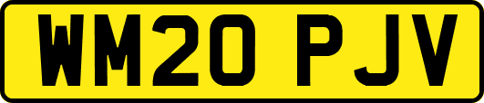 WM20PJV