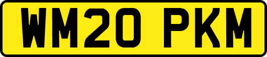 WM20PKM
