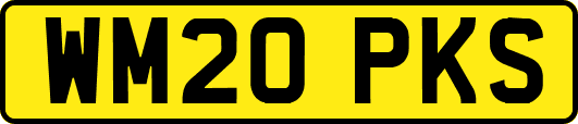 WM20PKS