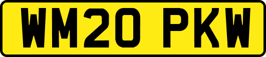 WM20PKW