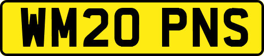 WM20PNS