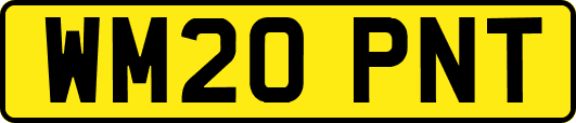 WM20PNT