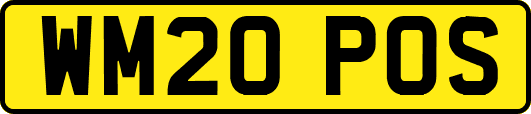 WM20POS
