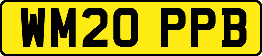 WM20PPB