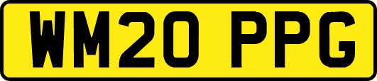 WM20PPG