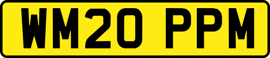 WM20PPM