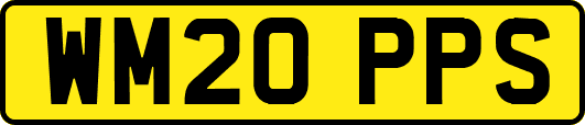 WM20PPS