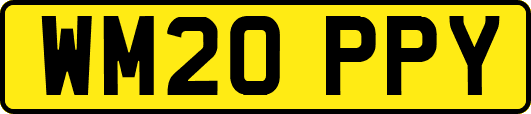 WM20PPY
