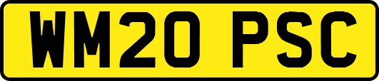 WM20PSC