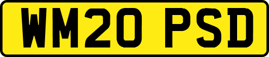 WM20PSD