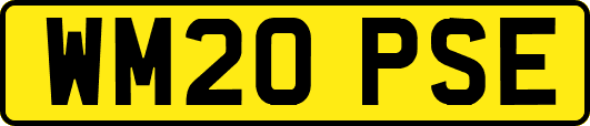 WM20PSE