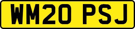 WM20PSJ