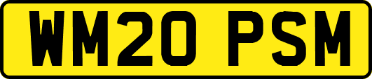 WM20PSM