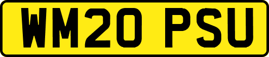 WM20PSU