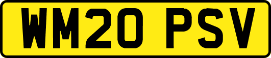WM20PSV