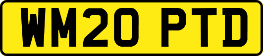 WM20PTD